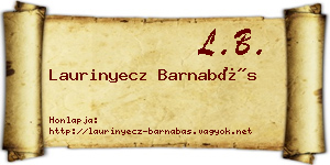 Laurinyecz Barnabás névjegykártya